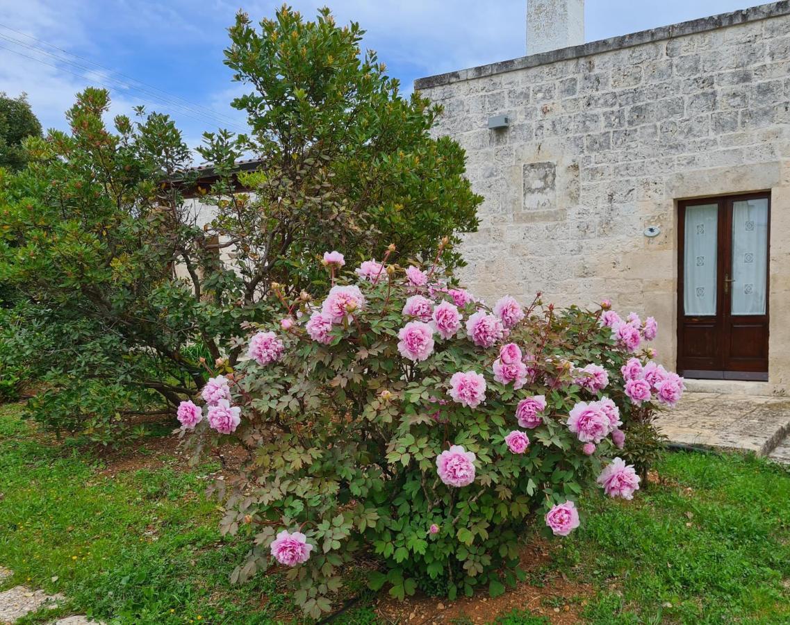 Masseria Montecchie Чельє-Мессапіка Екстер'єр фото
