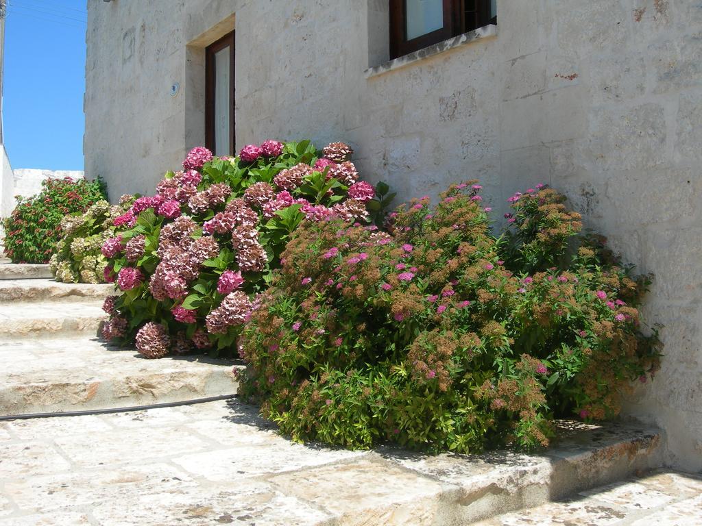 Masseria Montecchie Чельє-Мессапіка Екстер'єр фото