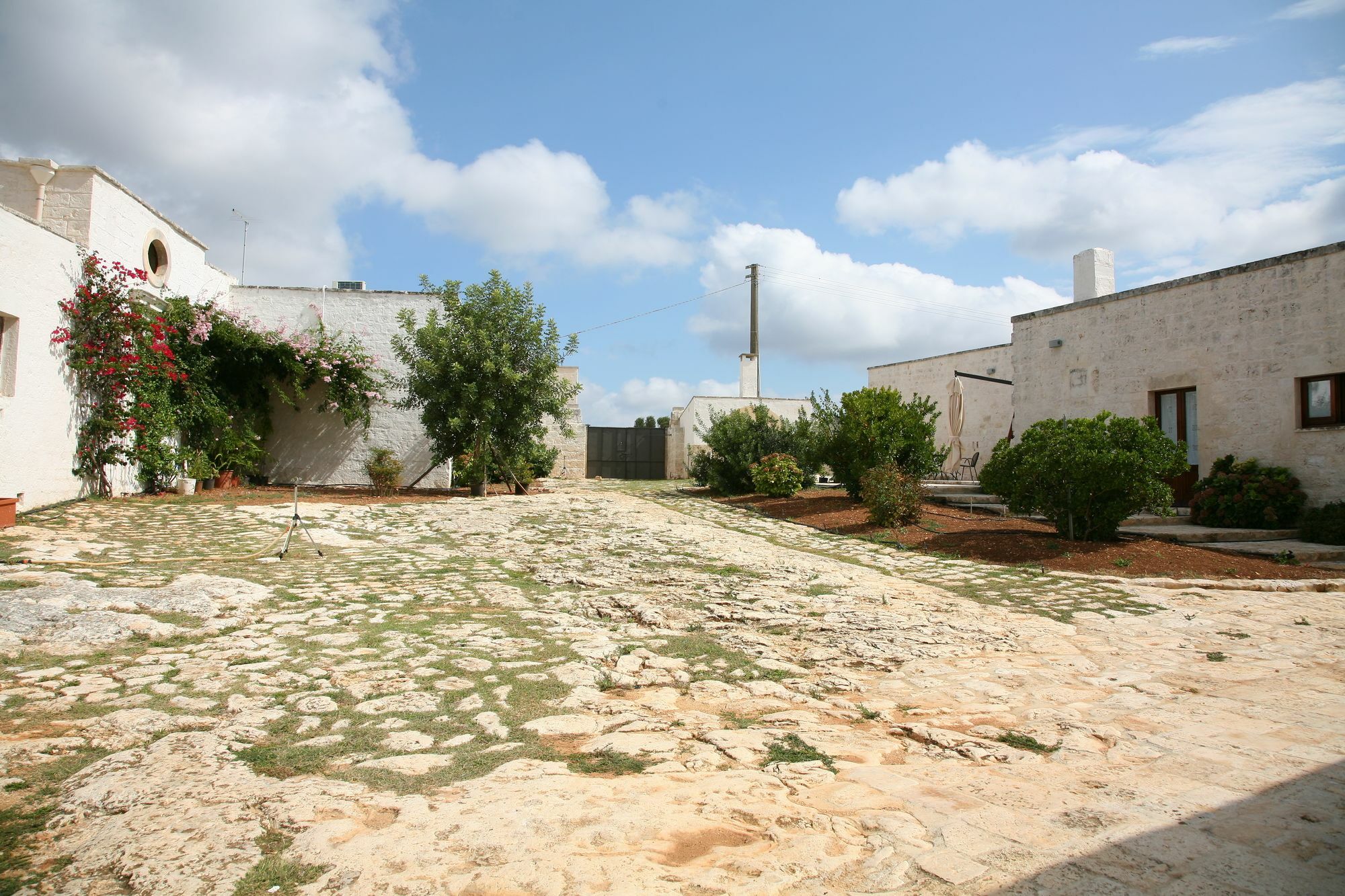 Masseria Montecchie Чельє-Мессапіка Екстер'єр фото